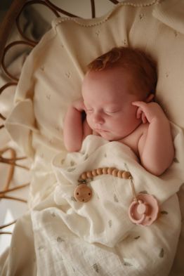 Kaučukový dudlík FRIGG DustyRose + LilyPad 0-6M (2ks)