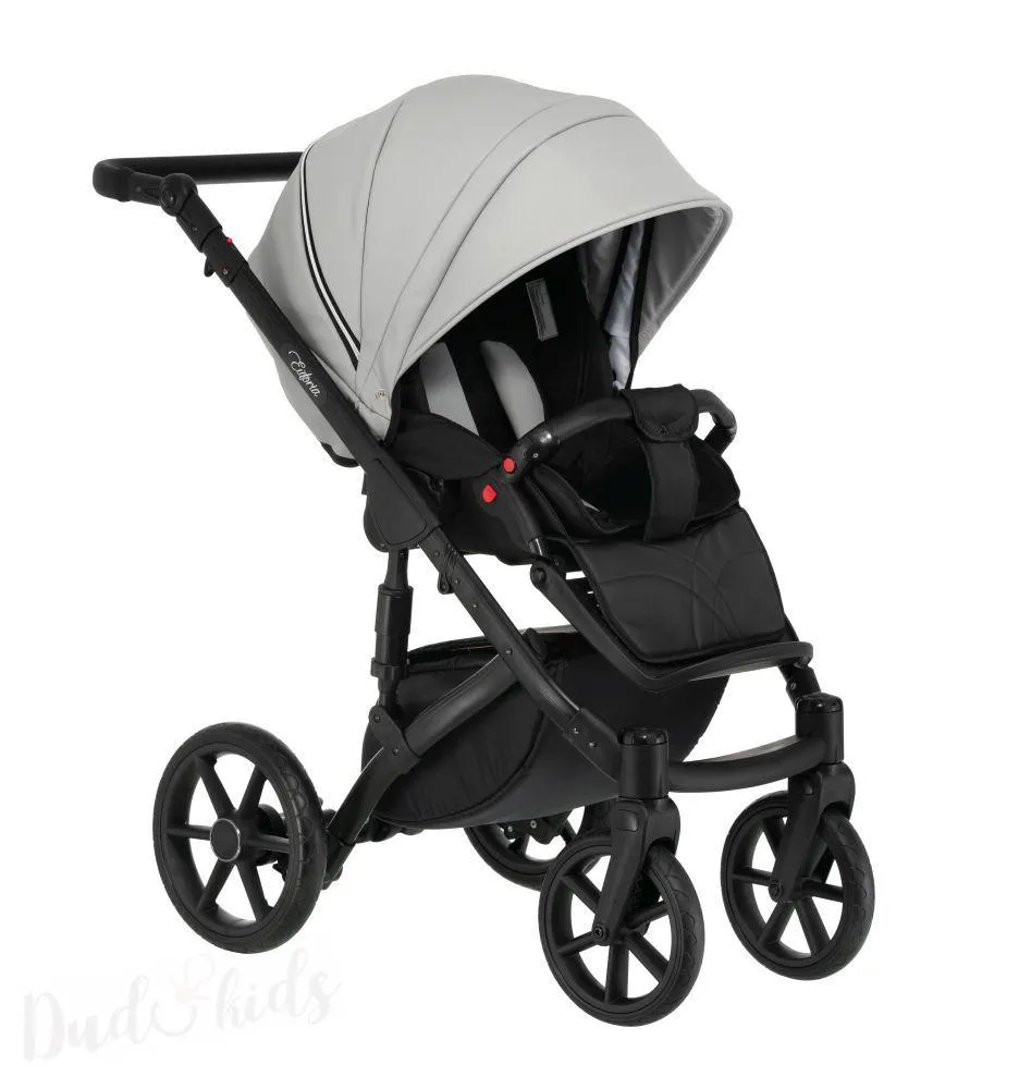  Kombinovaný kočárek EUFORIA S 06 eco grey
