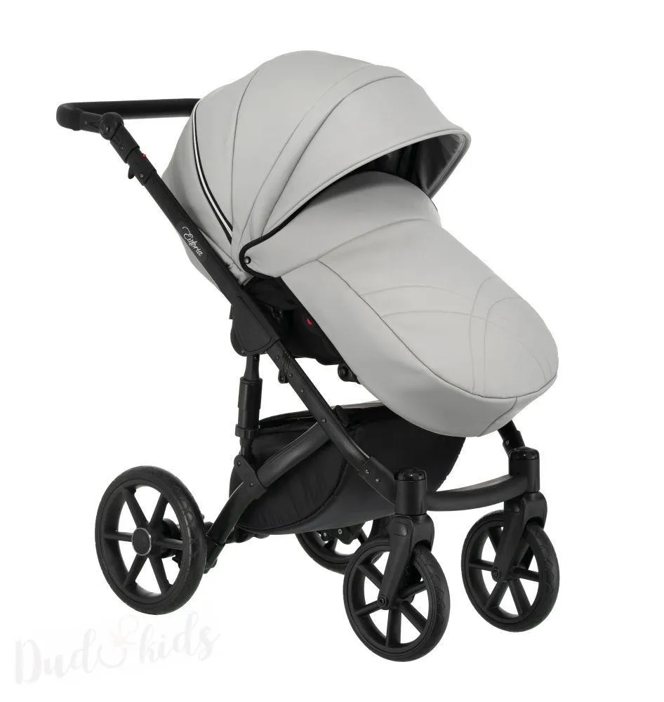  Kombinovaný kočárek EUFORIA S 06 eco grey
