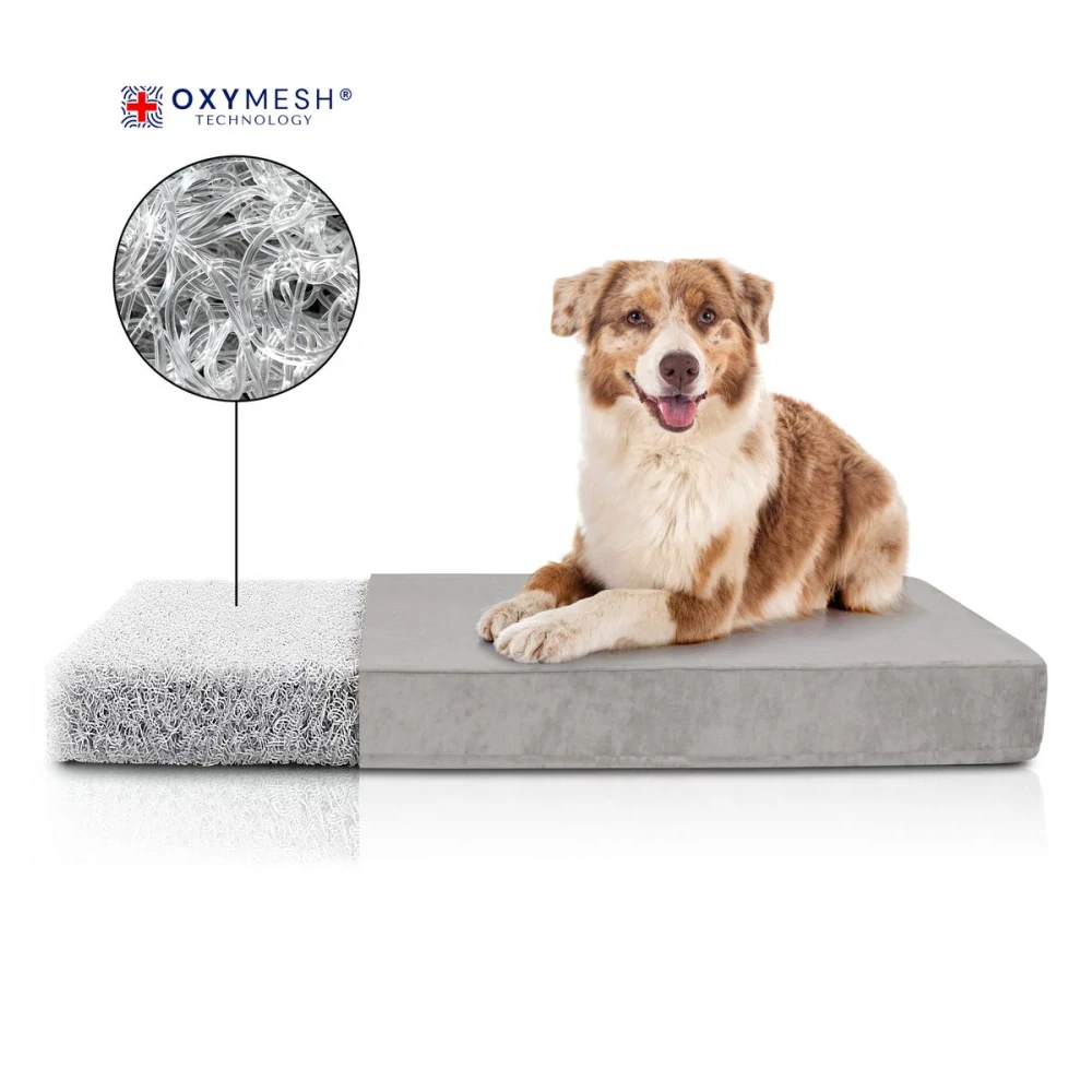 Ortopedická matrace pro psy Carinio Otoman Rhino XL