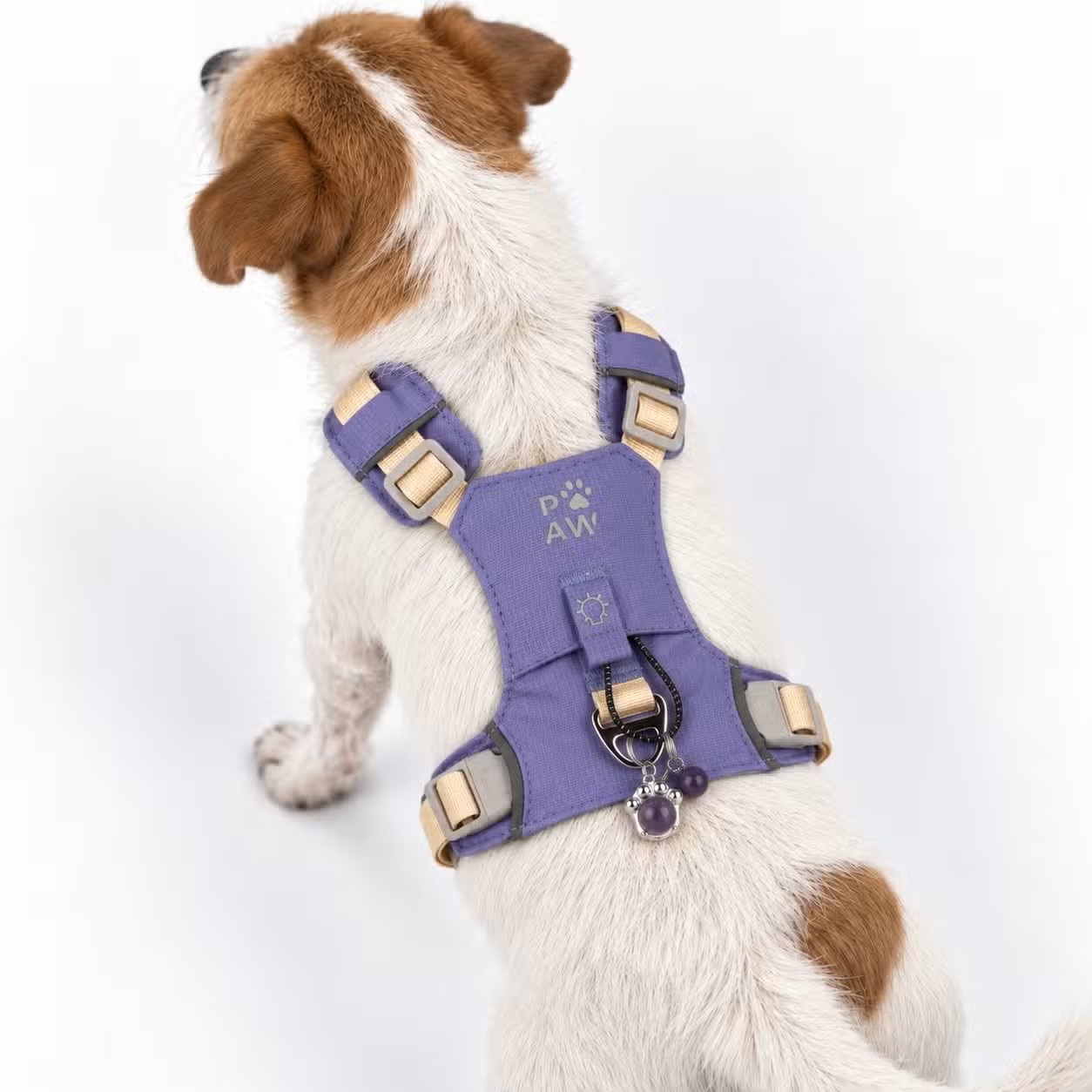 Ergonomický psí postroj P-AW Guardian přívěskem z ametystu - S (4-8 kg)