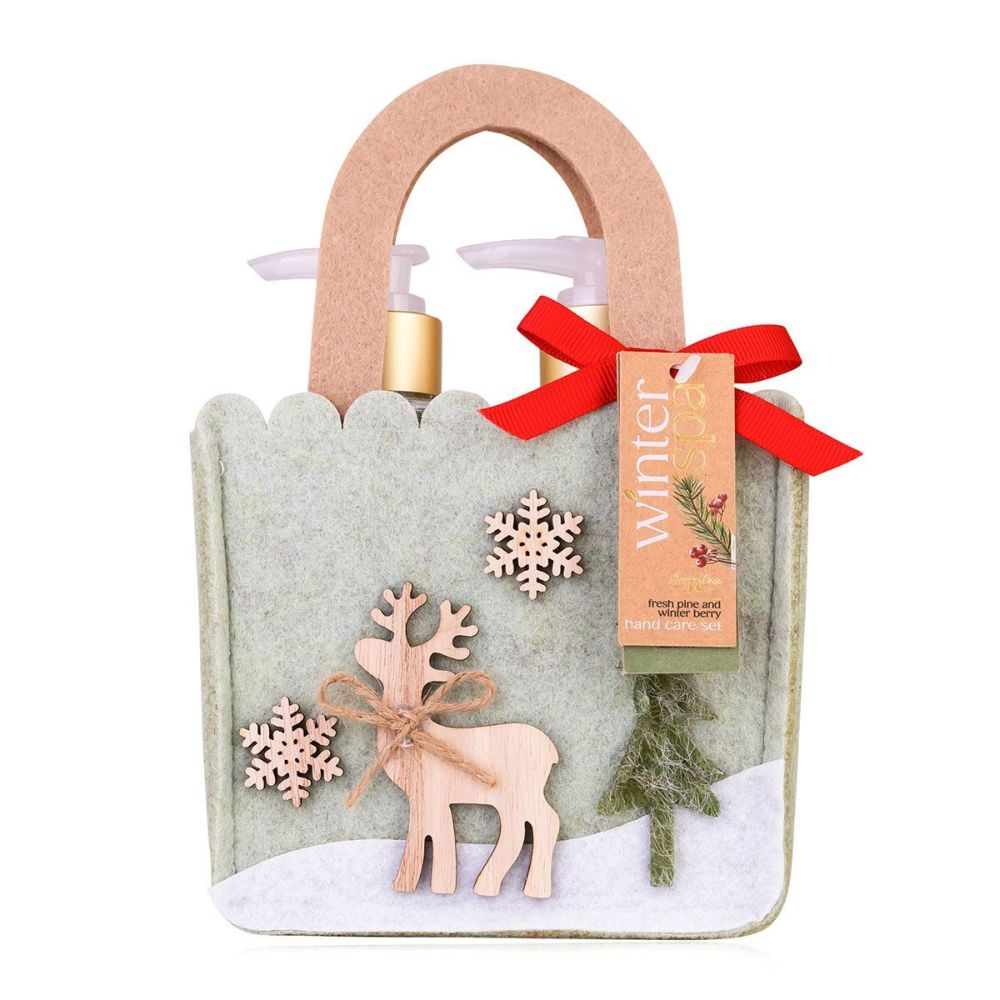 ACCENTRA Koupelová sada Winter Spa v plstěném sáčku – Zimní ovoce (2× 200 ml)