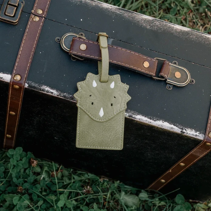 Jmenovka na zavazadlo Little who Dinosaurus Geert