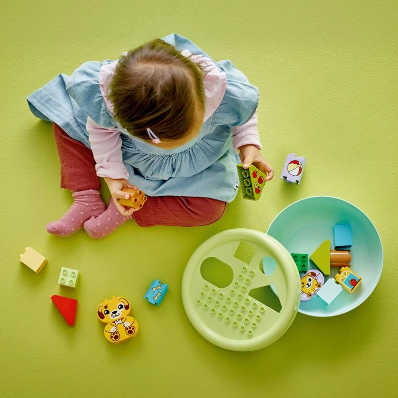 Stavebnice bloky LEGO Duplo - Třídění tvarů - Domeček pro štěňátka