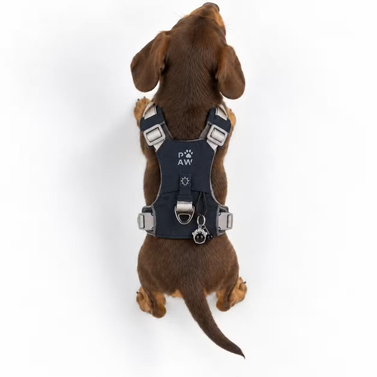 Ergonomický psí postroj P-AW Guardian přívěskem z černého obsidiánu - S (4-8 kg)