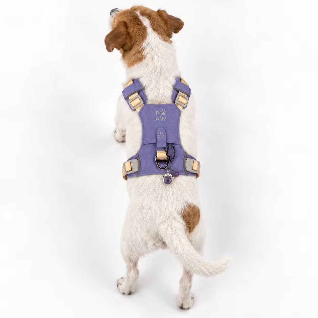 Ergonomický psí postroj P-AW Guardian přívěskem z ametystu - S (4-8 kg)