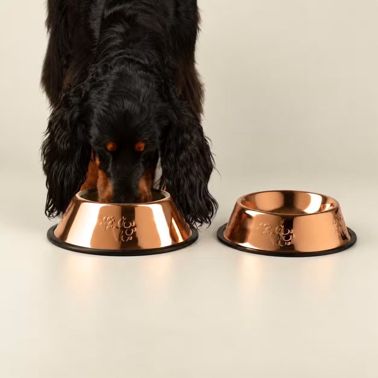 Stylová nerezová miska pro psa PAW Měděný styl (18 cm)