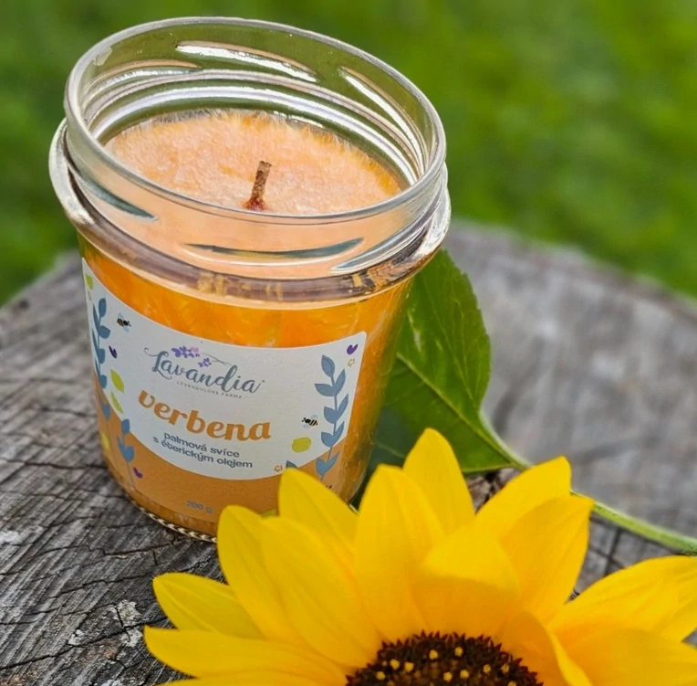 Vonná palmová svíce ve skle - Verbena