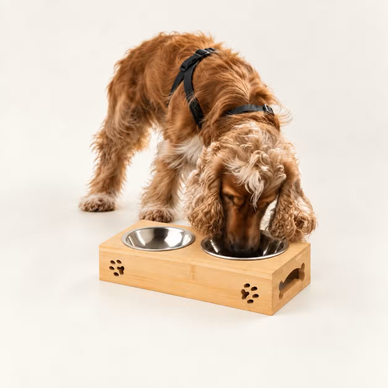 Dvojmiska pro psa PAW v dřevěném stojanu (2×12 cm)