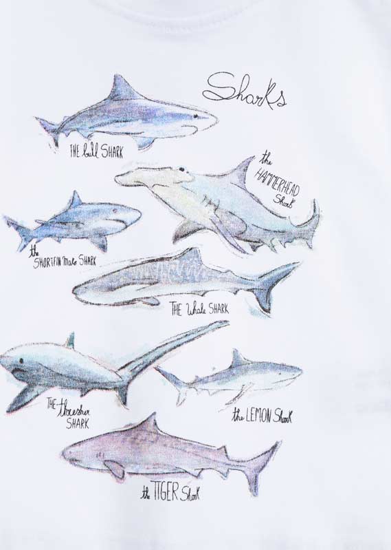 Novinka - Tričko kr.rukáv se žraloky zn.Losan