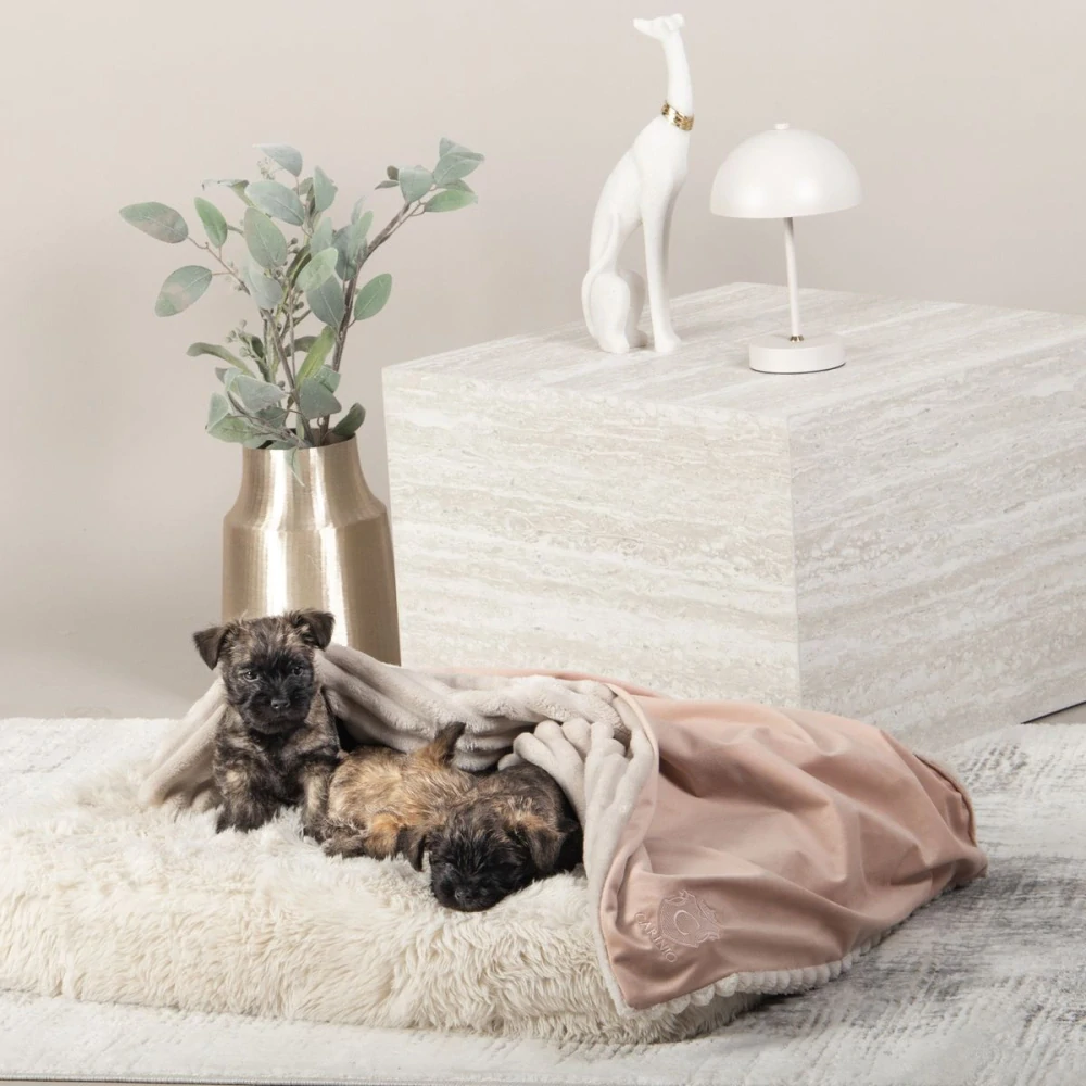 Carinio Oboustranná deka SOPHIE (M) Rose