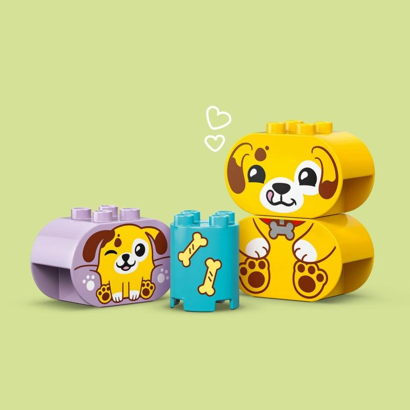 Stavebnice bloky LEGO Duplo - Třídění tvarů - Domeček pro štěňátka