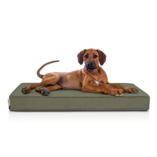 Pelíšek pro domácí mazlíčky Carinio Rest Forest XL