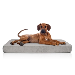 Ortopedická matrace pro psy Carinio Otoman Rhino XL