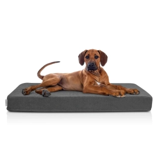 Ortopedická matrace pro psy Carinio Otoman Charcoal XL
